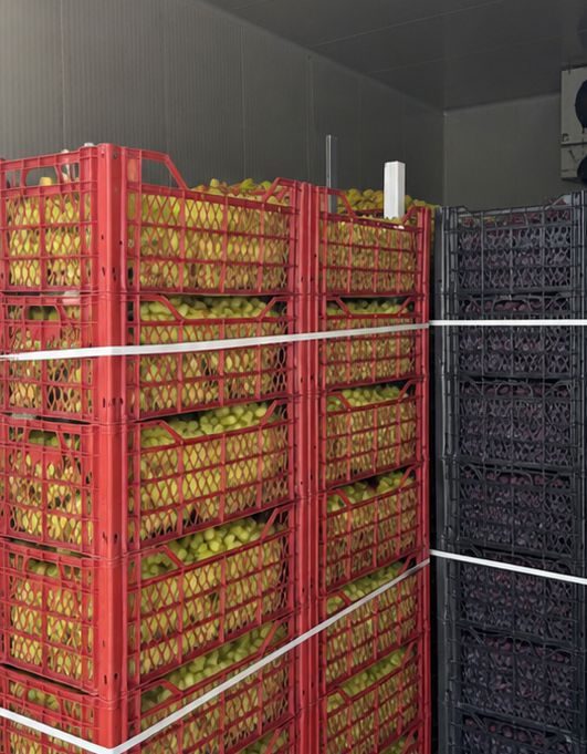 Mixed apple crates