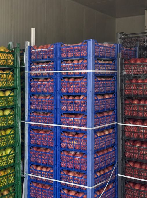 Cold-stored fresh produce